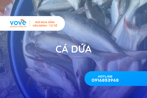 ca dua la ca gi song o dau gia tri dinh duong che bien mon an