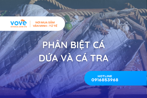 phan biet ca dua va ca tra 5 dau hieu nhan ra ngay lap tuc