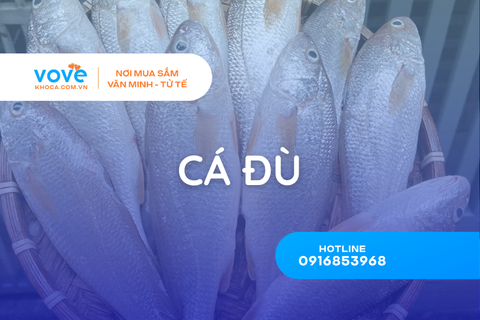 ca du la ca gi dac diem dinh duong top 5 mon ngon dua com