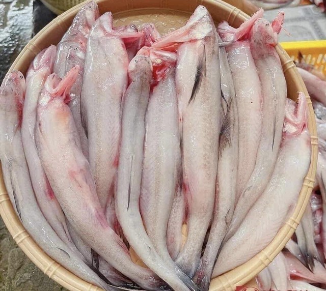 Giá khô cá khoai Cà Mau thơm ngon hấp dẫn