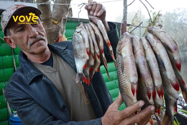 Cá Astrakhan Nga muối khô được bảo quản đúng cách