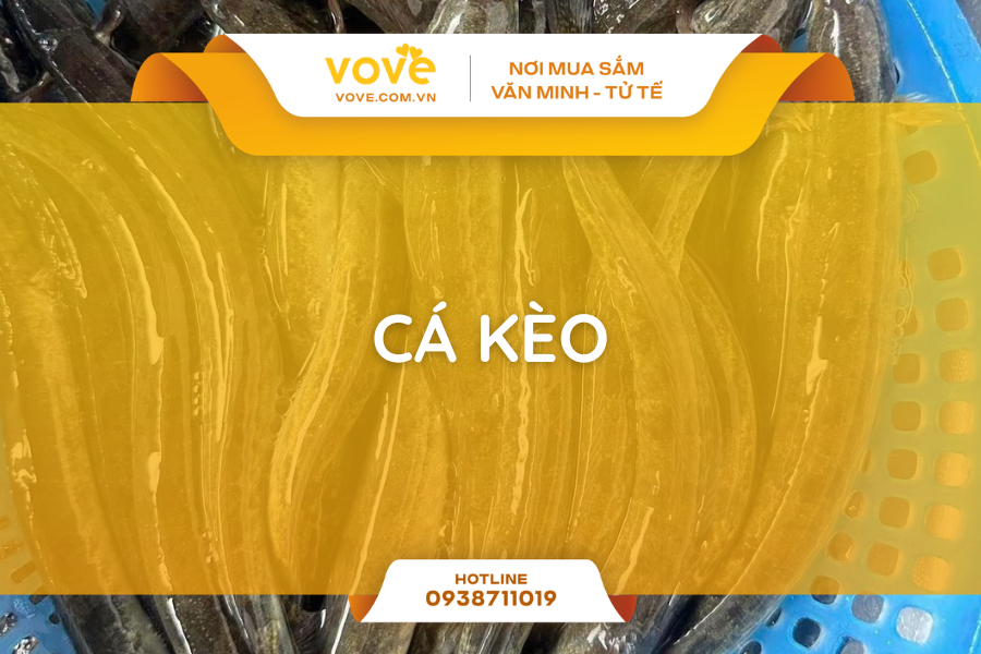 ca keo la ca gi 5 dieu can biet ve loai ca dac san mien tay