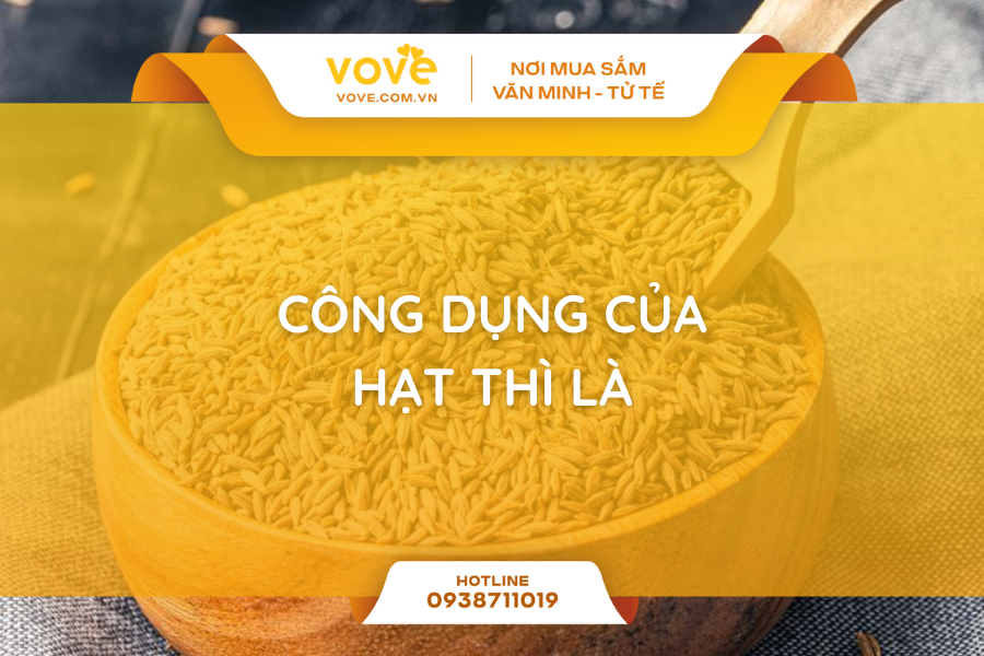 cong dung cua hat thi la loi ich suc khoe cach dung hieu qua