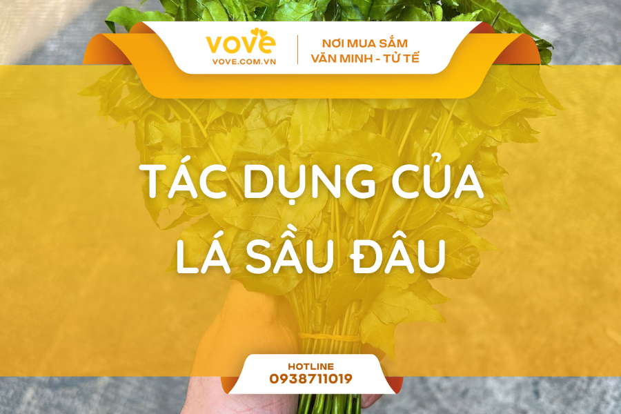 la sau dau co tac dung gi