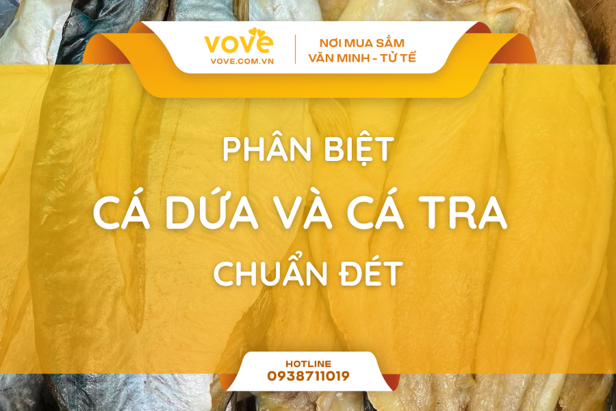 cach phan biet ca dua va ca tra 3 dau hieu nhan biet ngay lap tuc