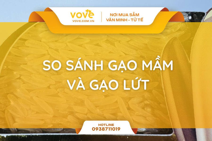 so sanh gao mam va gao lut loai nao uu diem hon