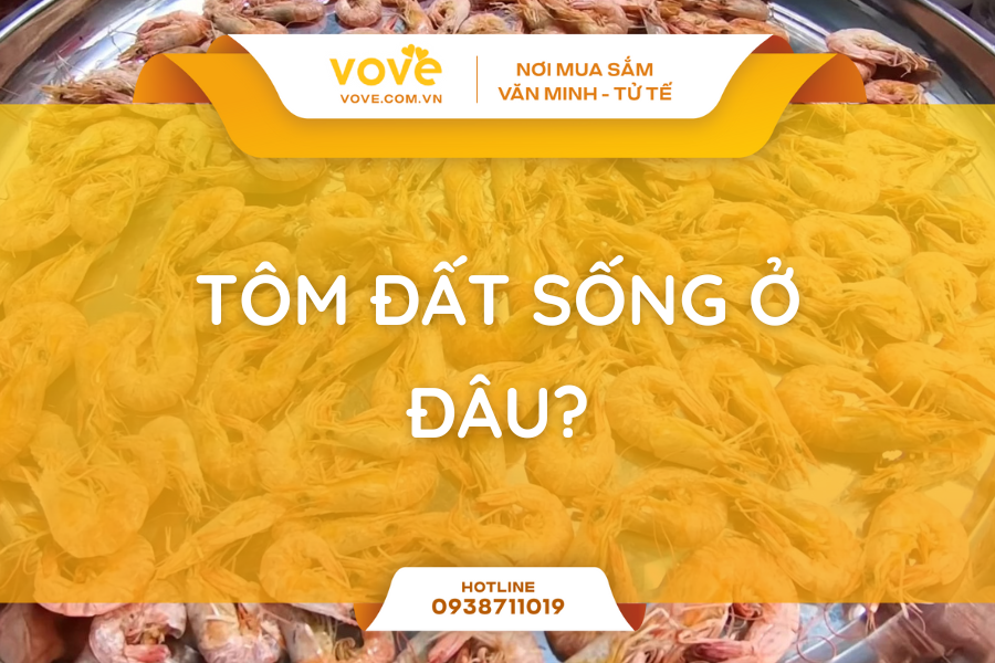 tom dat song o dau moi truong song va 5 gia tri dinh duong