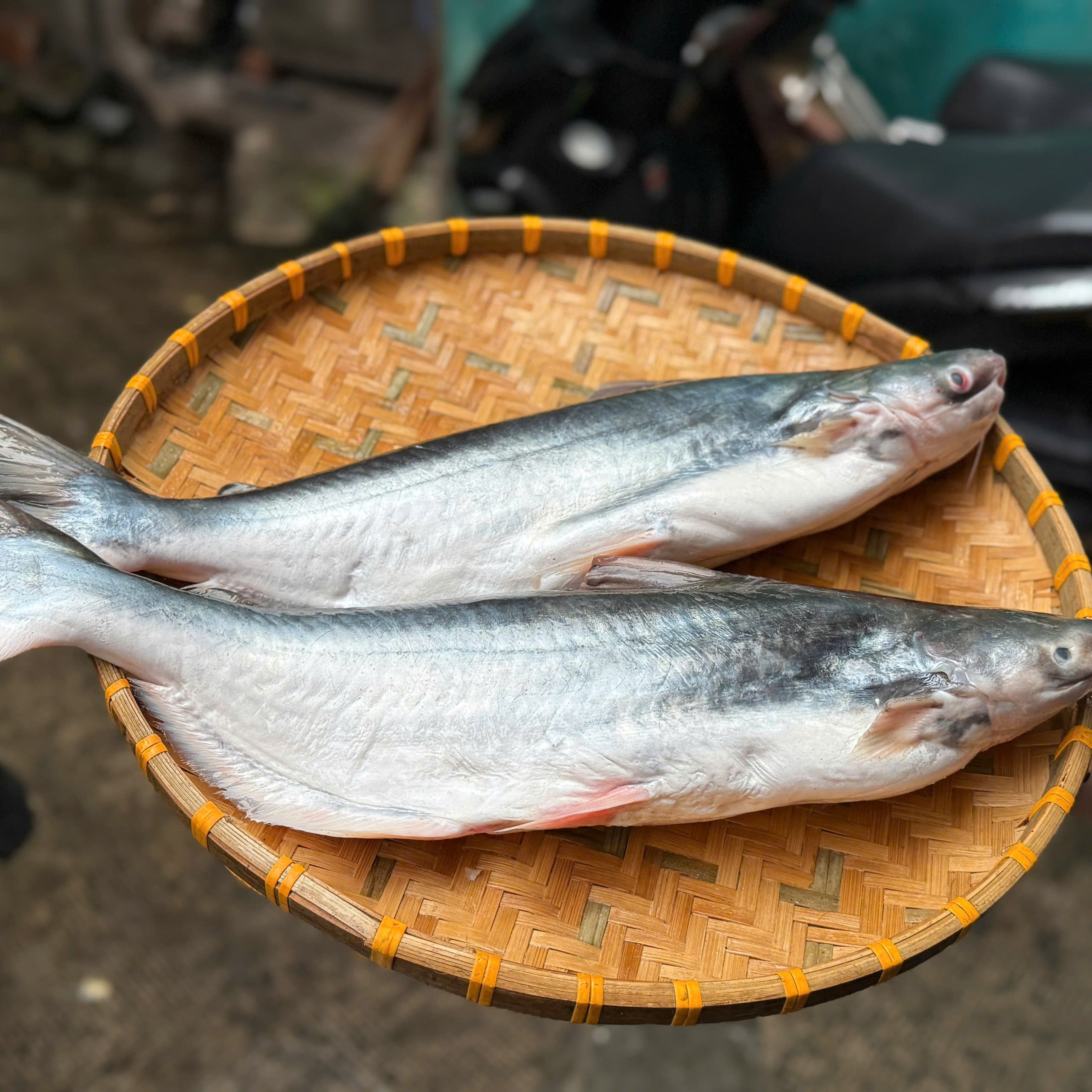 Hình chụp cận cảnh thớ thịt cá dứa tươi béo ngọt