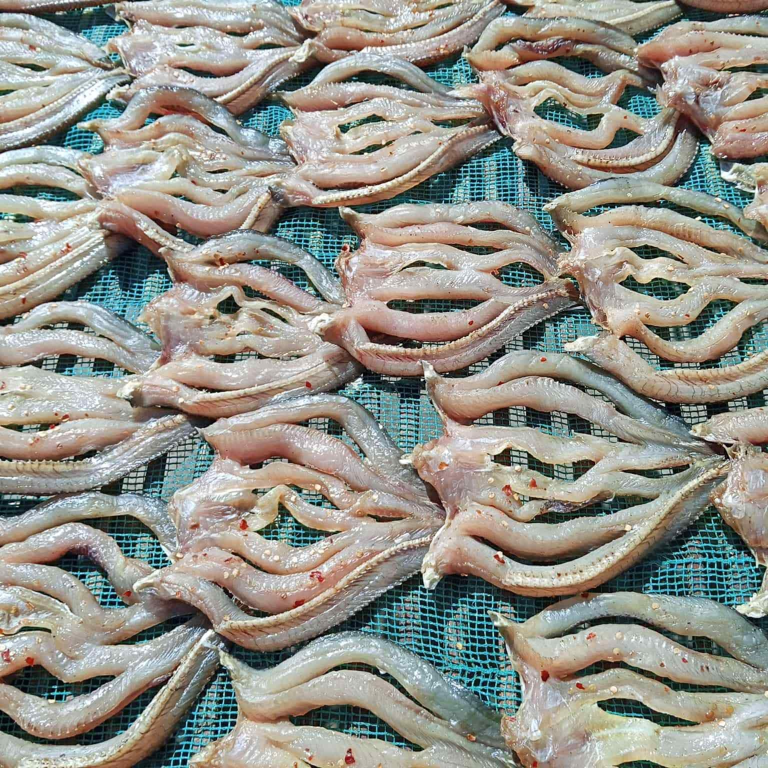 Sản phẩm khô cá lóc 1 nắng được phơi đều, thơm và đẹp mắt