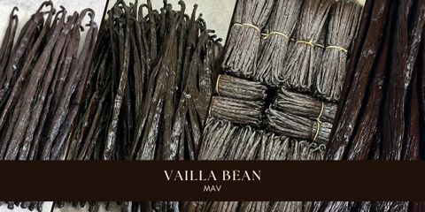 Quả vanilla - Bí mật hương vị tự nhiên chinh phục giới ẩm thực toàn cầu