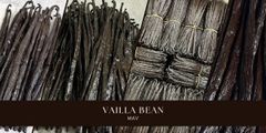 Quả vanilla – Bí mật hương vị tự nhiên chinh phục giới ẩm thực toàn cầu