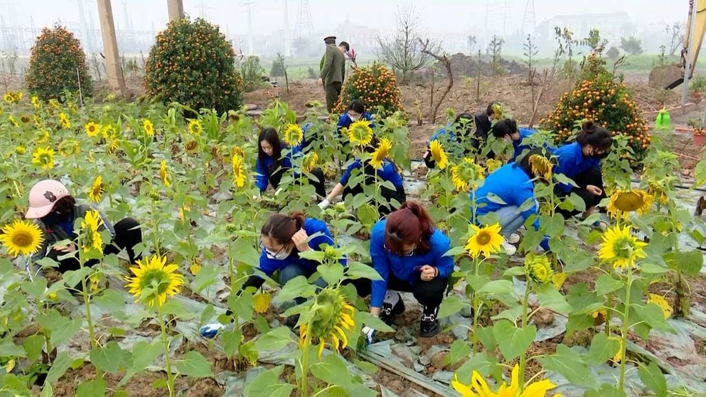 ngày giải phóng miền nam thống nhất đất nước 8