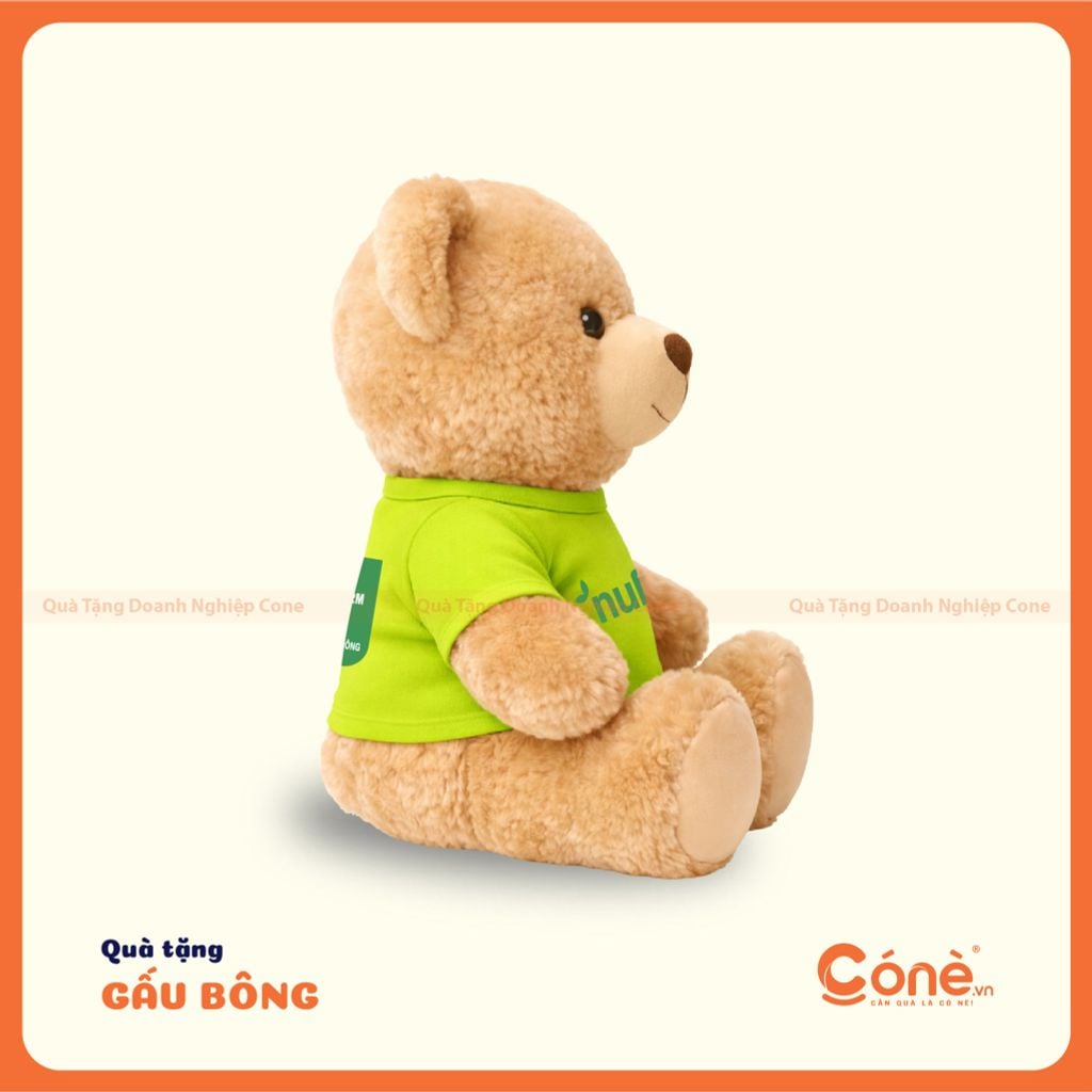 gấu bông dream big 2