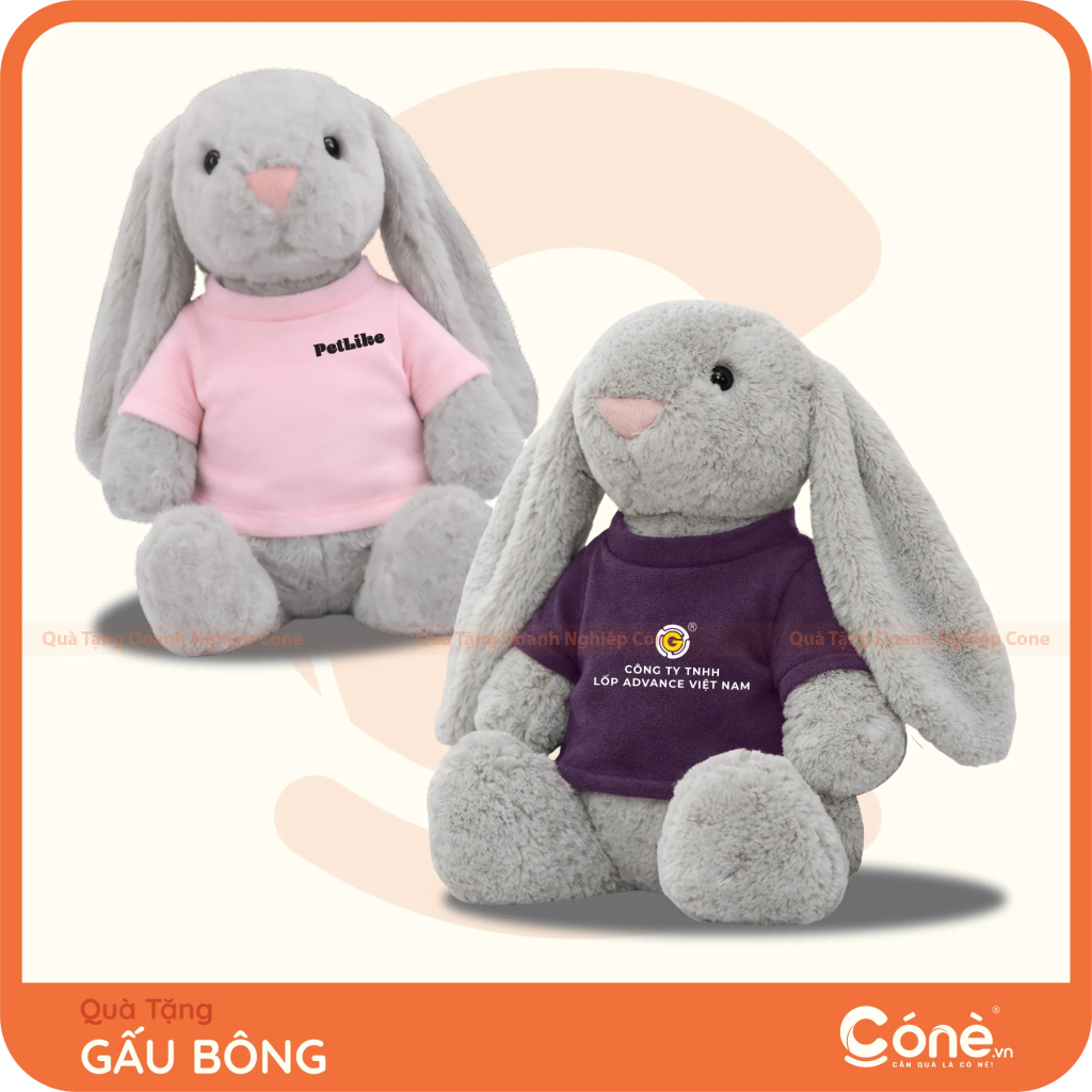 Gấu bông thỏ mặc áo thun in logo PetLife và Lớp Advance Việt Nam