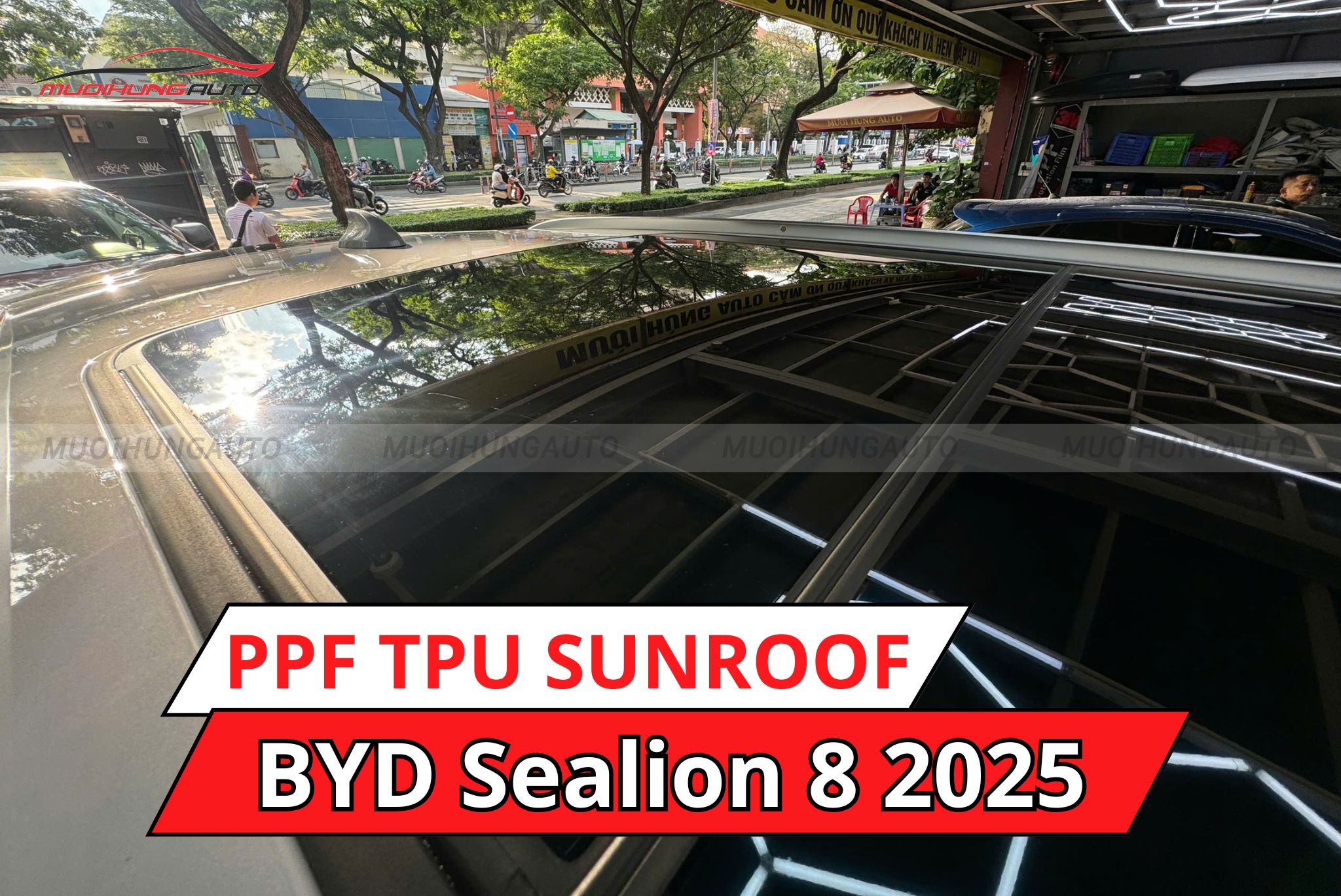 Dán phim PPF TPU SUNROOF cách nhiệt cửa sổ trời ô tô BYD Sealion 8 2025