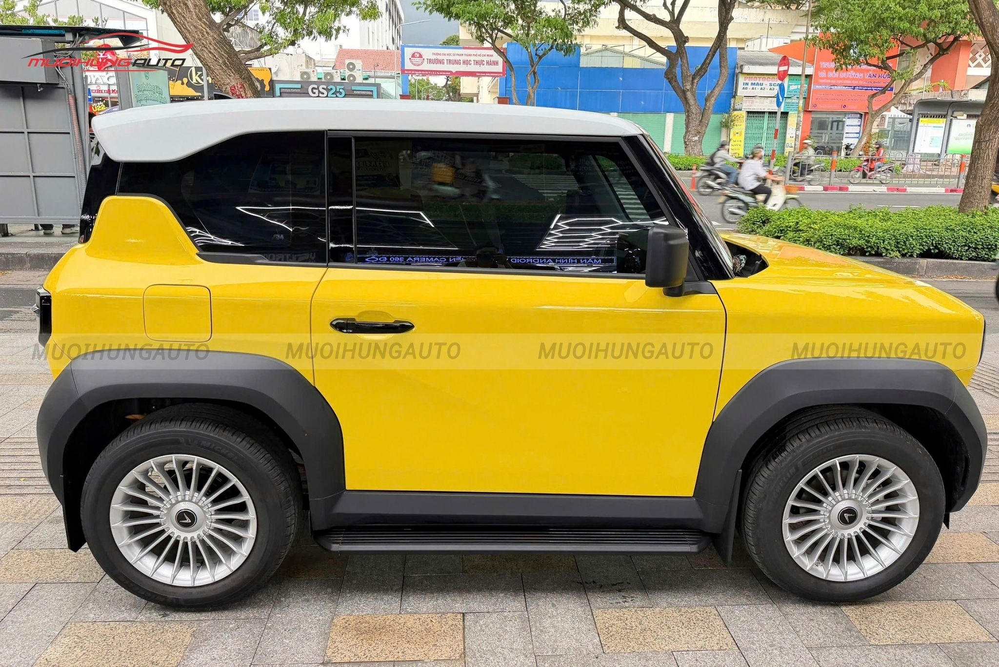 Bệ bước chân Vinfast VF3