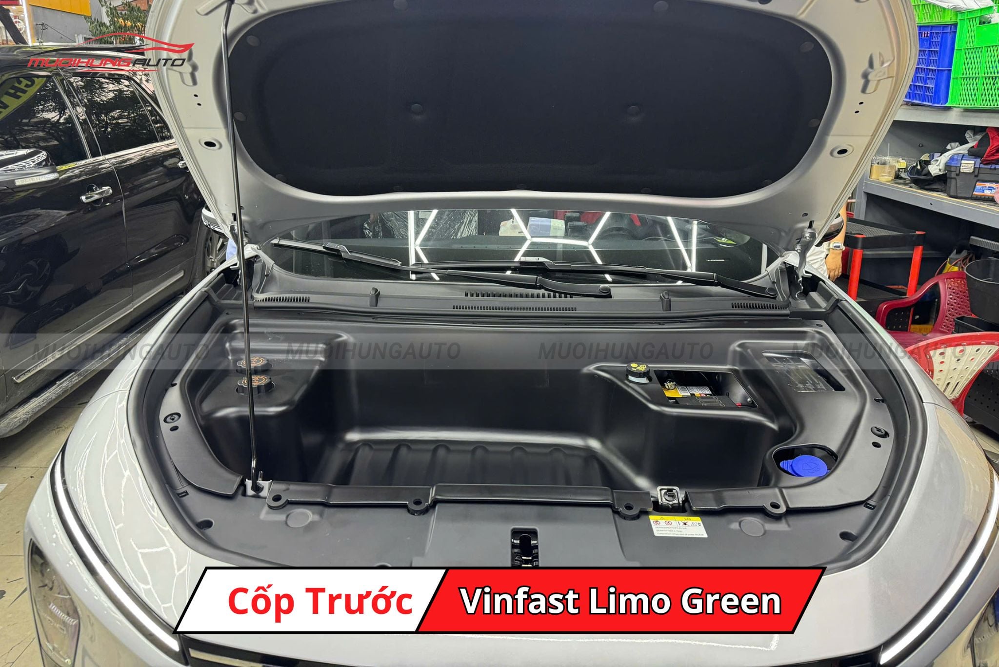 Cốp để đồ capo cho Vinfast Limo Green