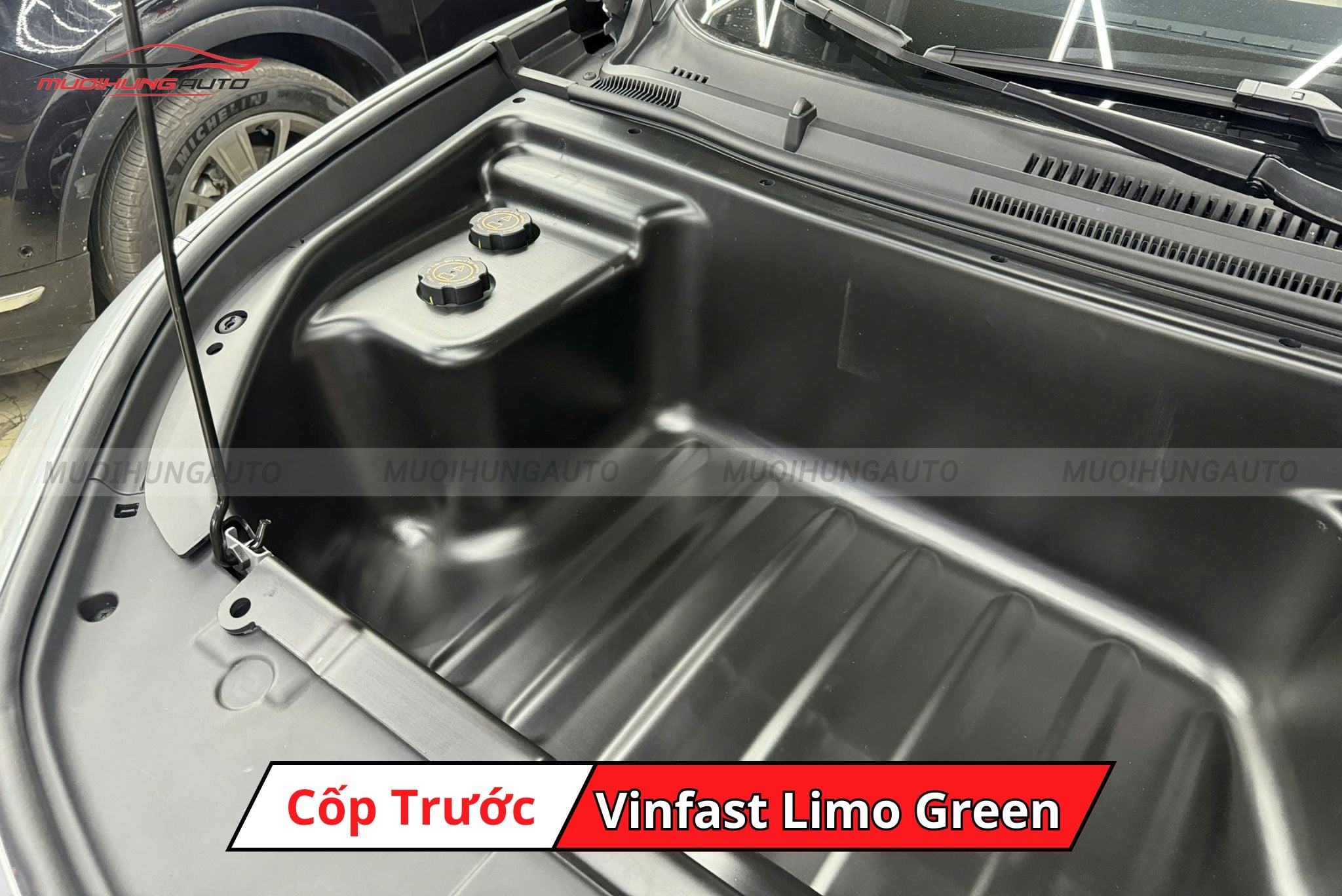 Cốp trước Limo Green