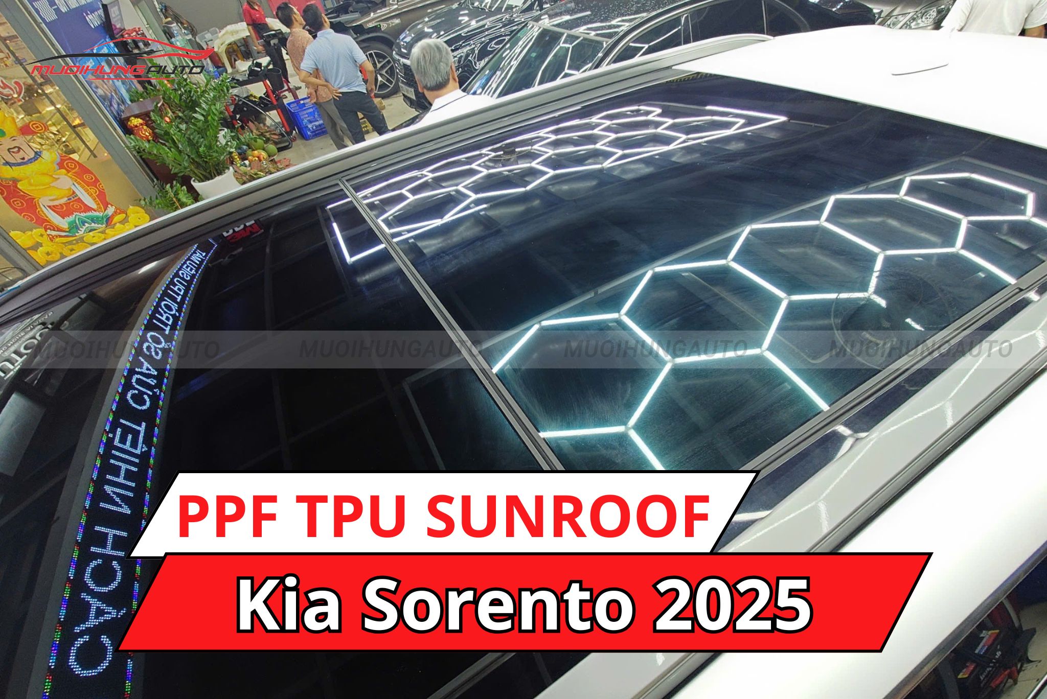 Dán phim PPF TPU SUNROOF cách nhiệt cửa sổ trời Kia Sorento 2025