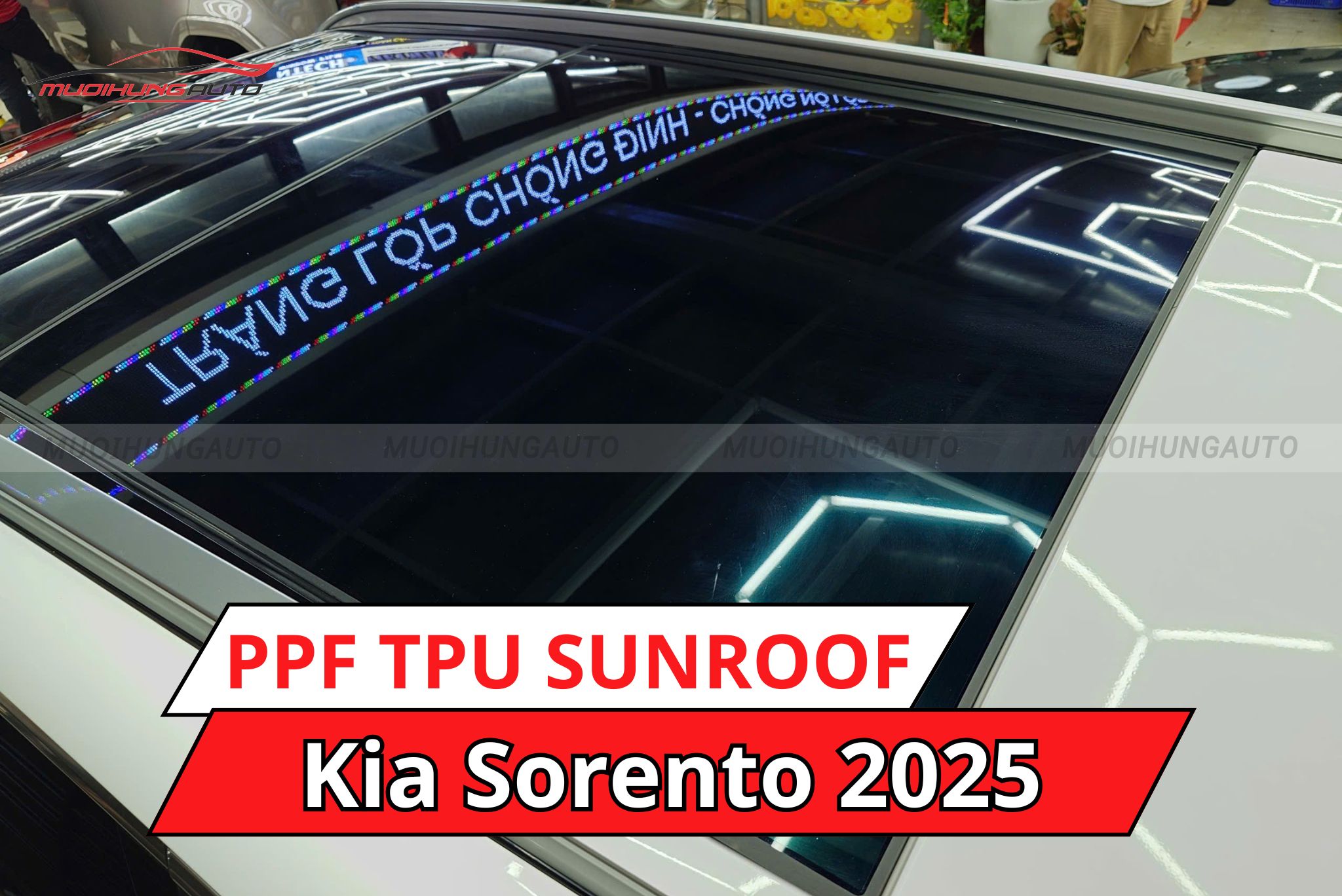 Dán phim PPF TPU SUNROOF cách nhiệt cửa sổ trời ô tô Kia Sorento 2025