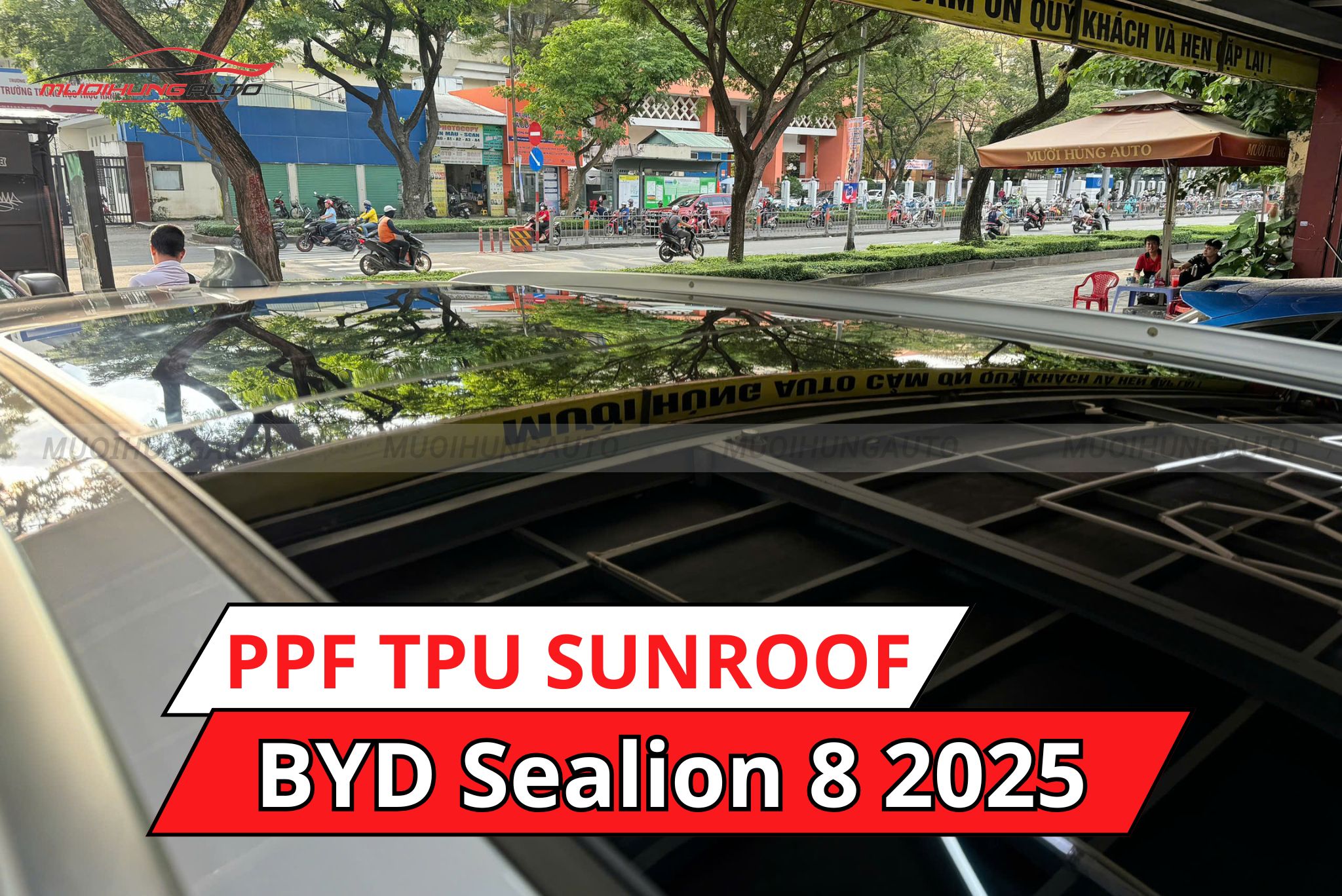 Dán phim PPF TPU SUNROOF cách nhiệt cửa sổ trời xe BYD Sealion 8 2025