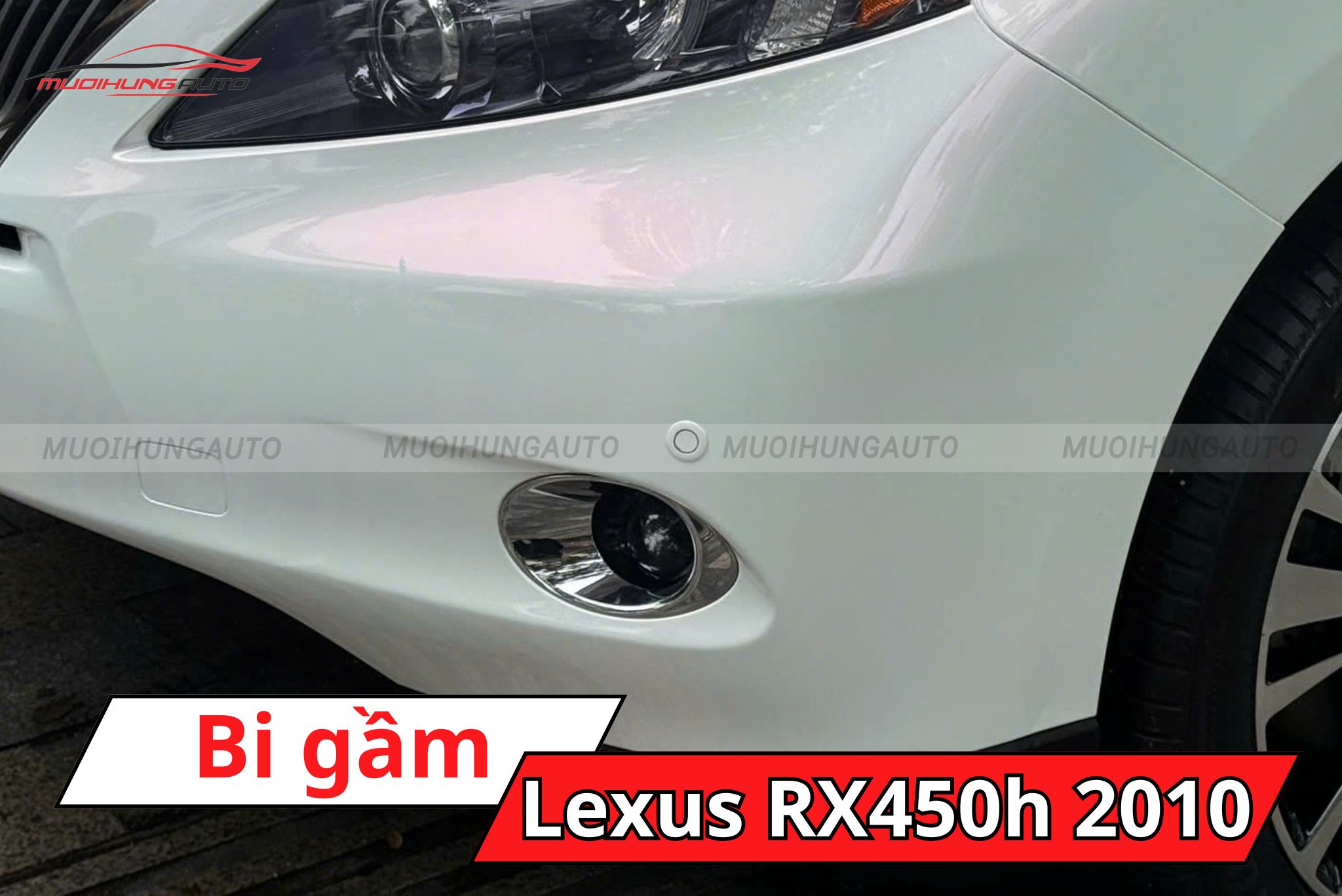 Đèn bi gầm Lexus RX450h 2010