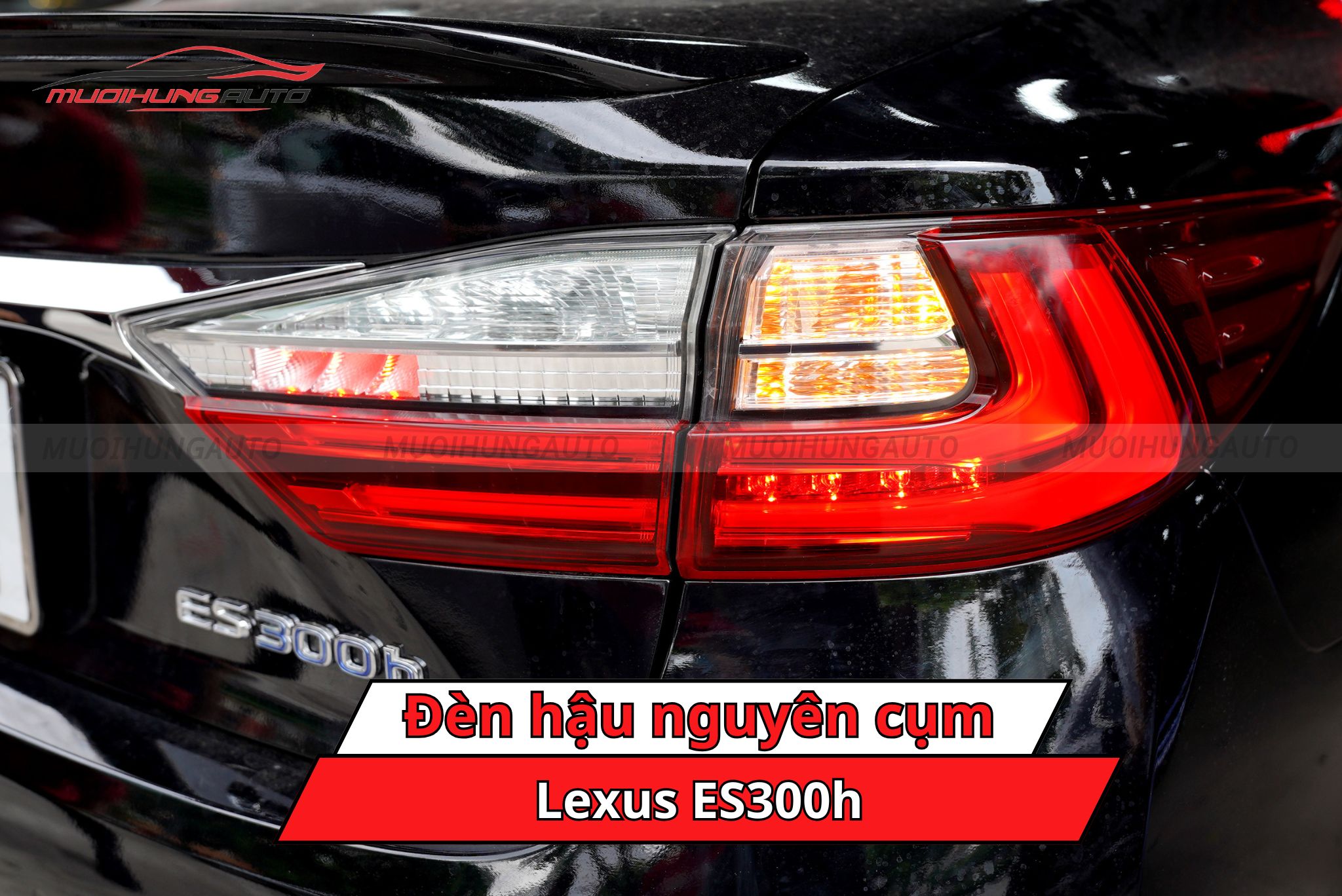 Đèn hậu nguyên cụm cho Lexus ES300h