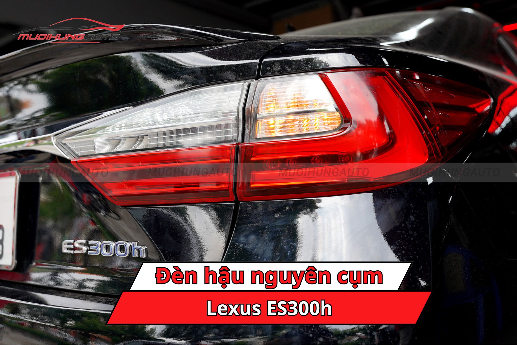 Đèn hậu nguyên cụm cho ô tô Lexus ES300h
