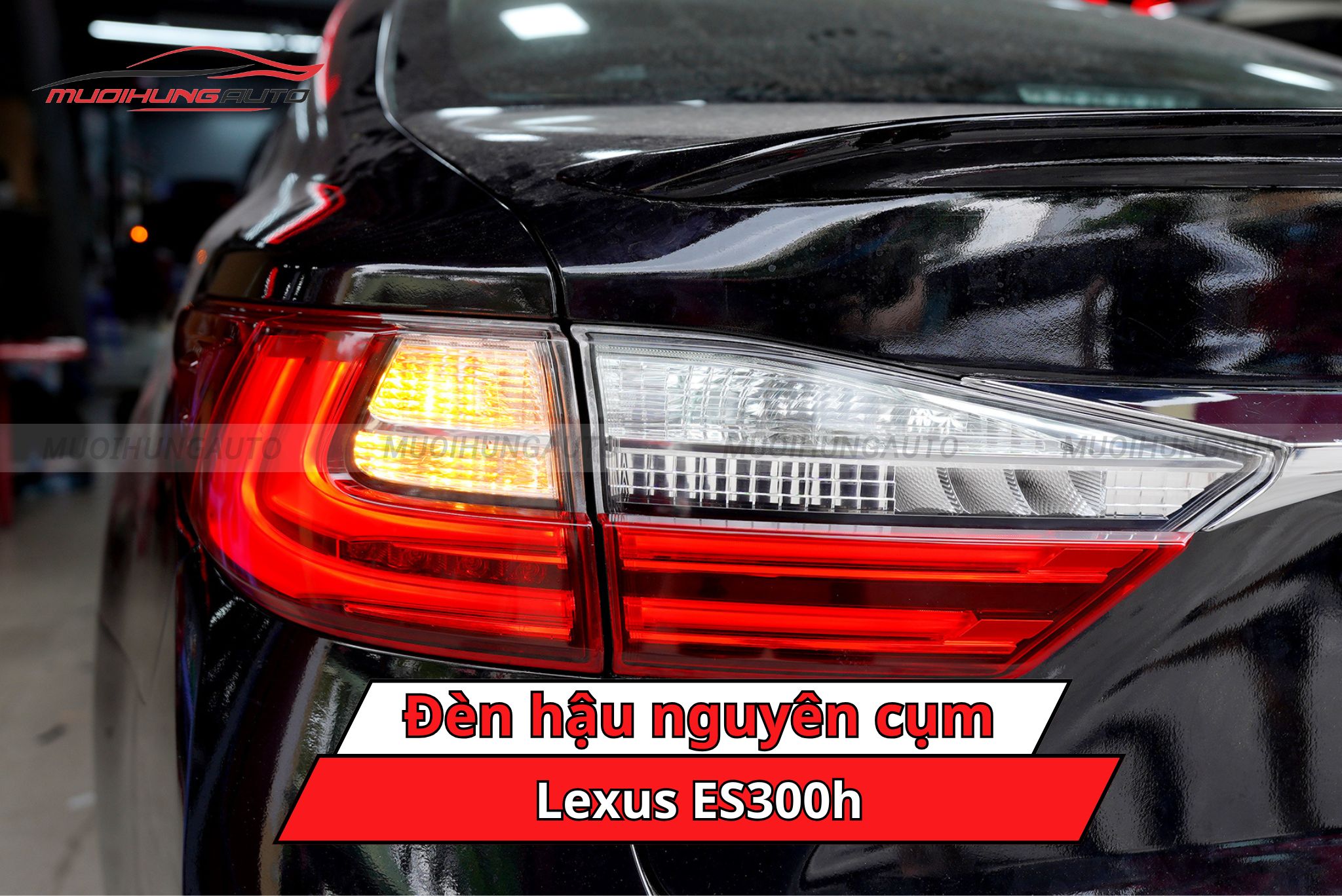 Đèn hậu nguyên cụm cho xe Lexus ES300h