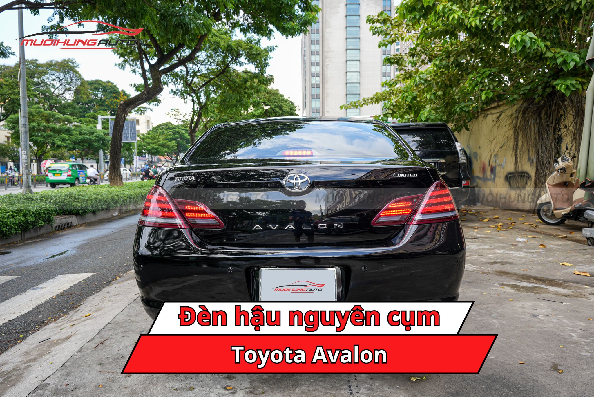 Đèn hậu nguyên cụm Toyota Avalon