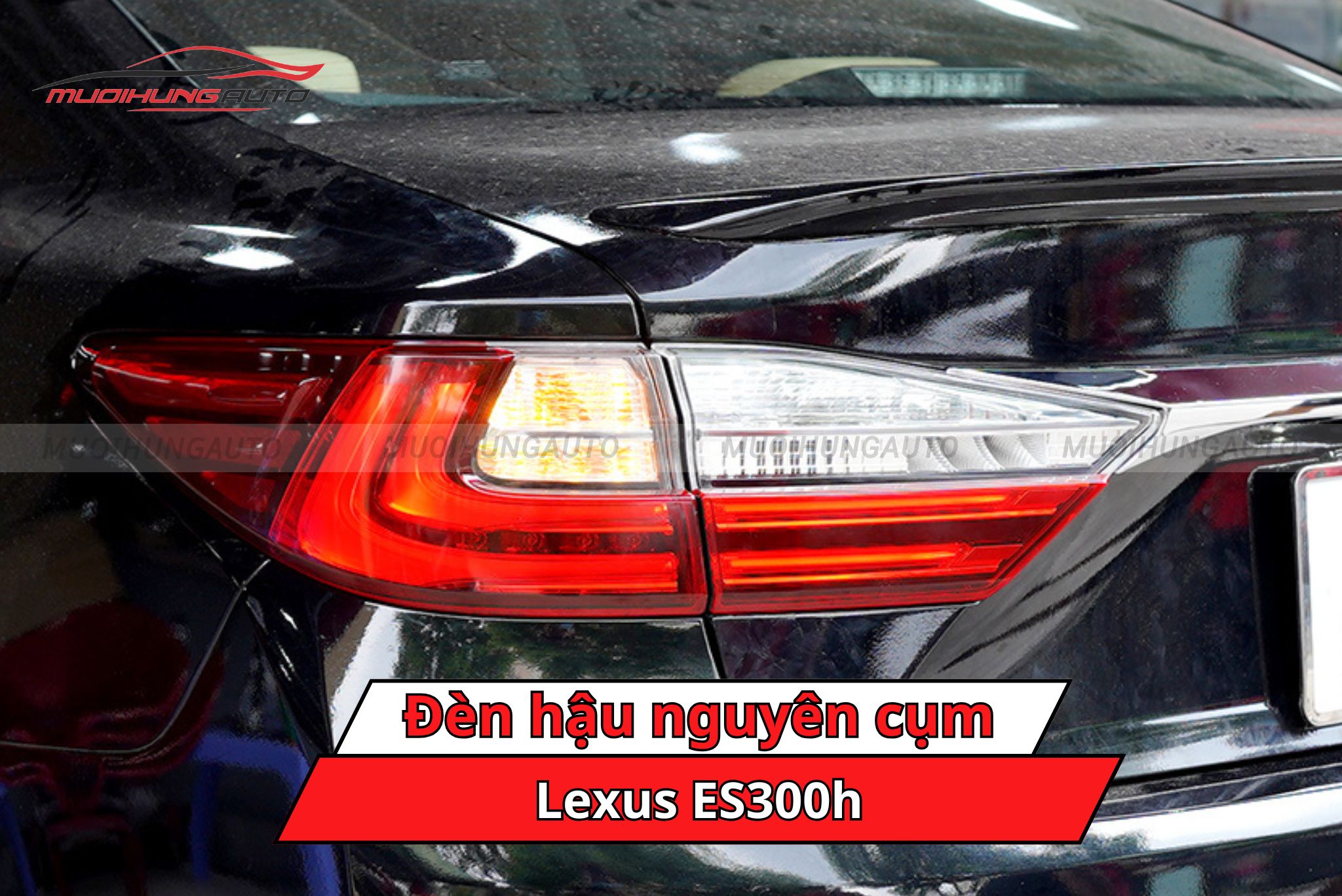 Đèn hậu nguyên cụm xe Lexus ES300h