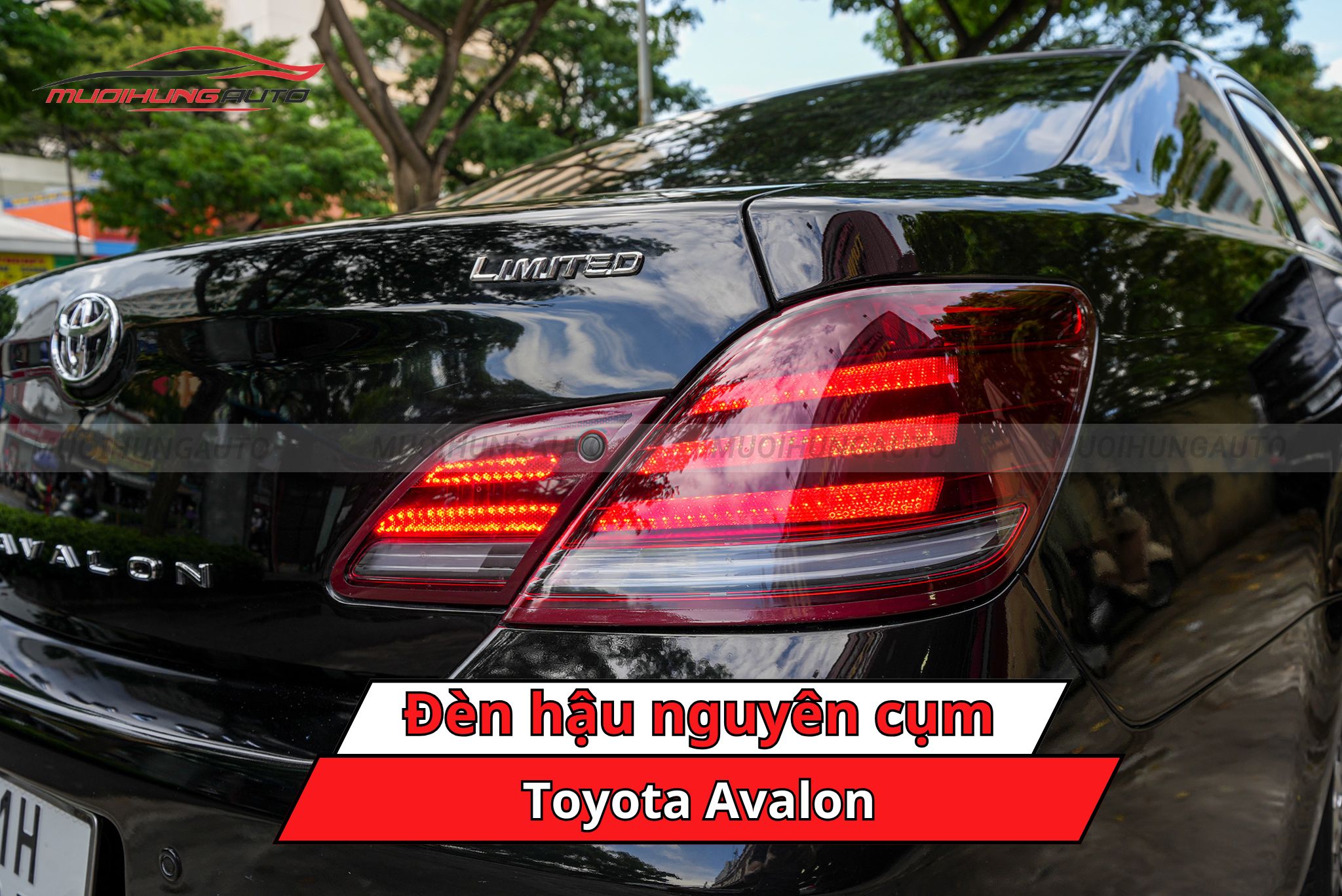 Đèn hậu nguyên cụm xe Toyota Avalon
