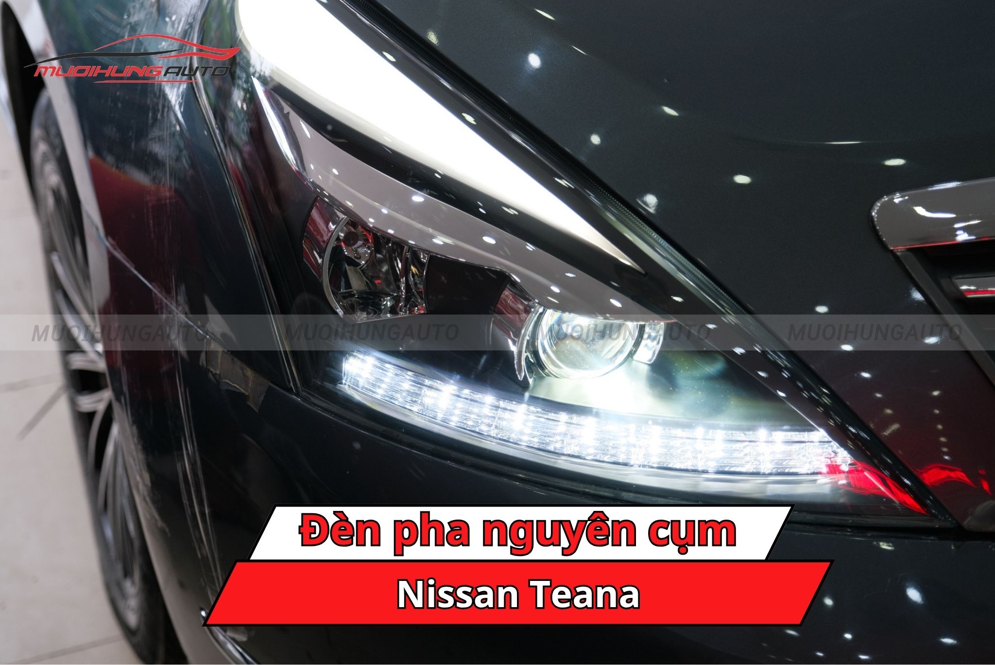 Đèn pha nguyên cụm cho Nissan Teana