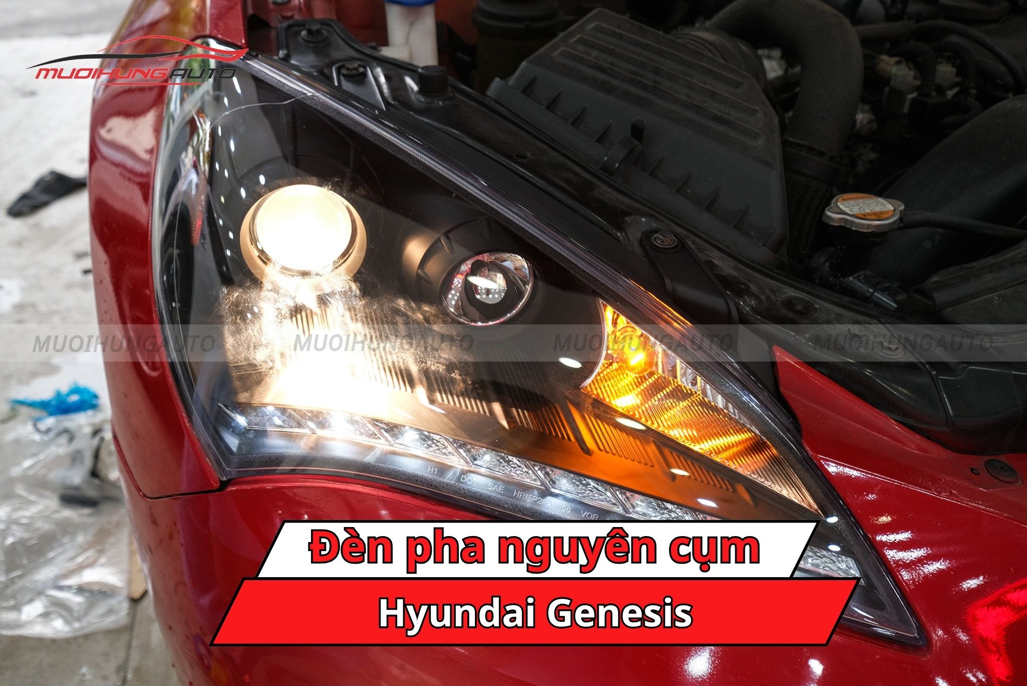 Đèn pha nguyên cụm cho xe Hyundai Genesis