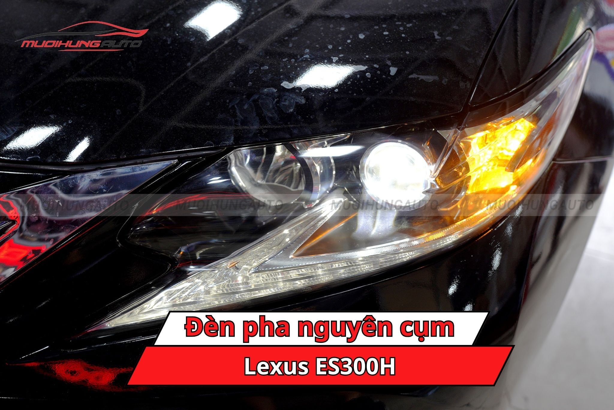 Đèn pha nguyên cụm cho xe Lexus ES300H