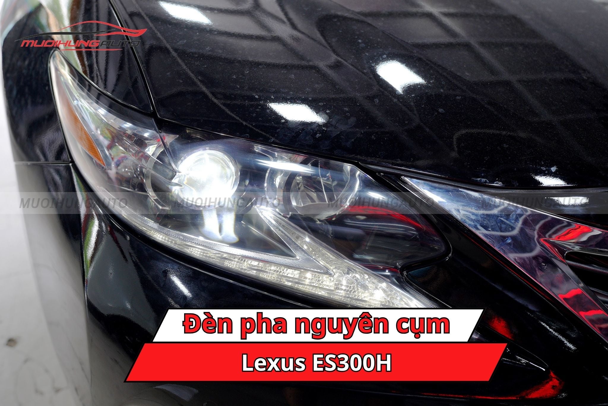 Đèn pha nguyên cụm xe Lexus ES300H