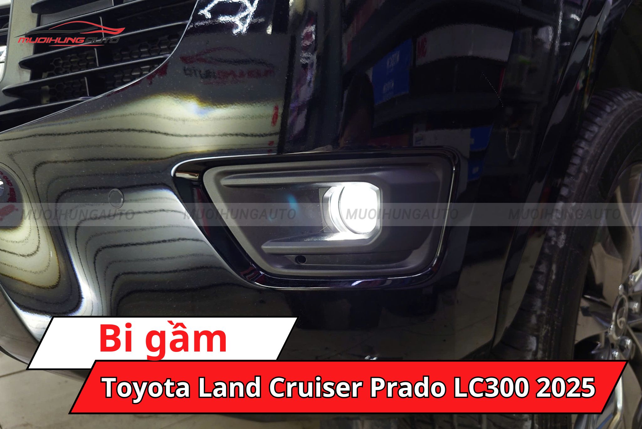 Độ đèn bi gầm Toyota Land Cruiser Prado LC300 2025