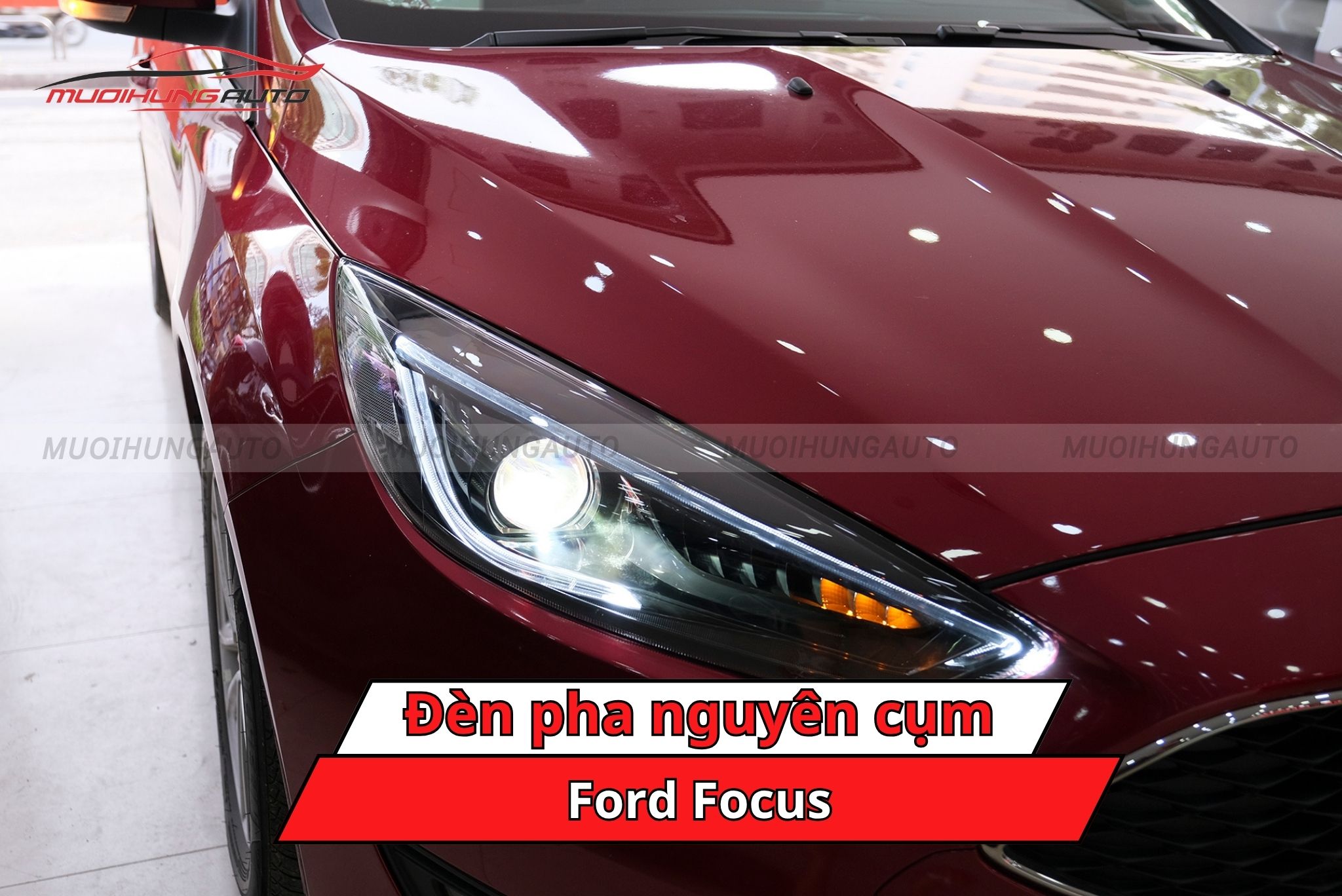 Độ đèn pha nguyên cụm Ford Focus