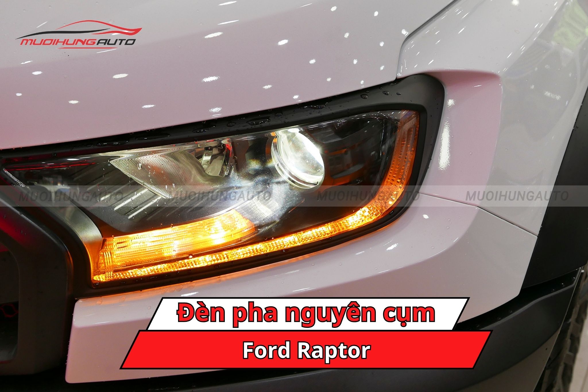 Độ đèn pha nguyên cụm Ford Raptor