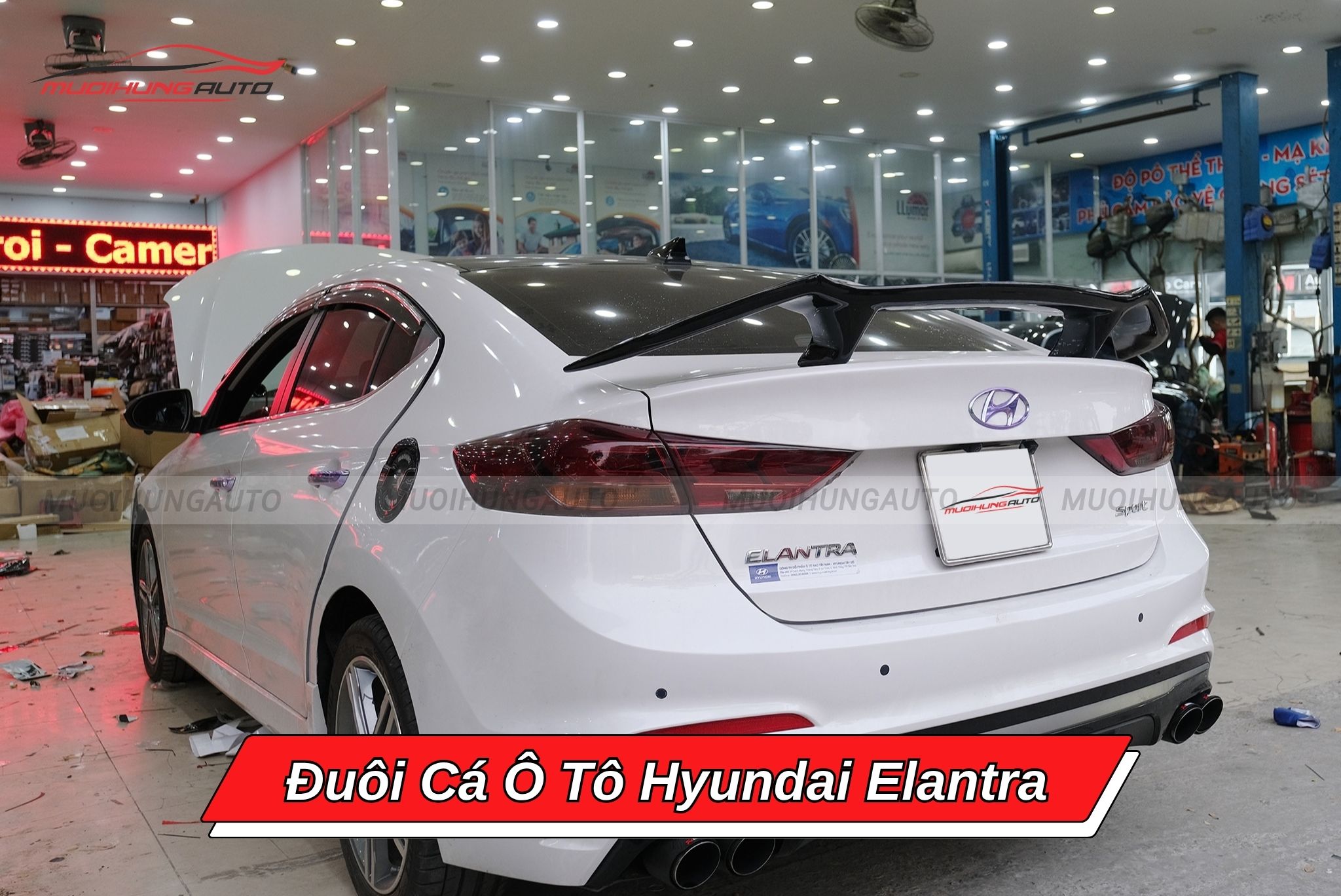 Đuôi cá Hyundai Elantra
