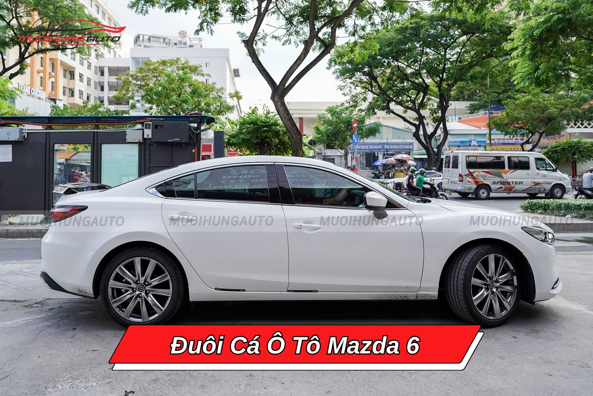 Đuôi cá Mazda 6