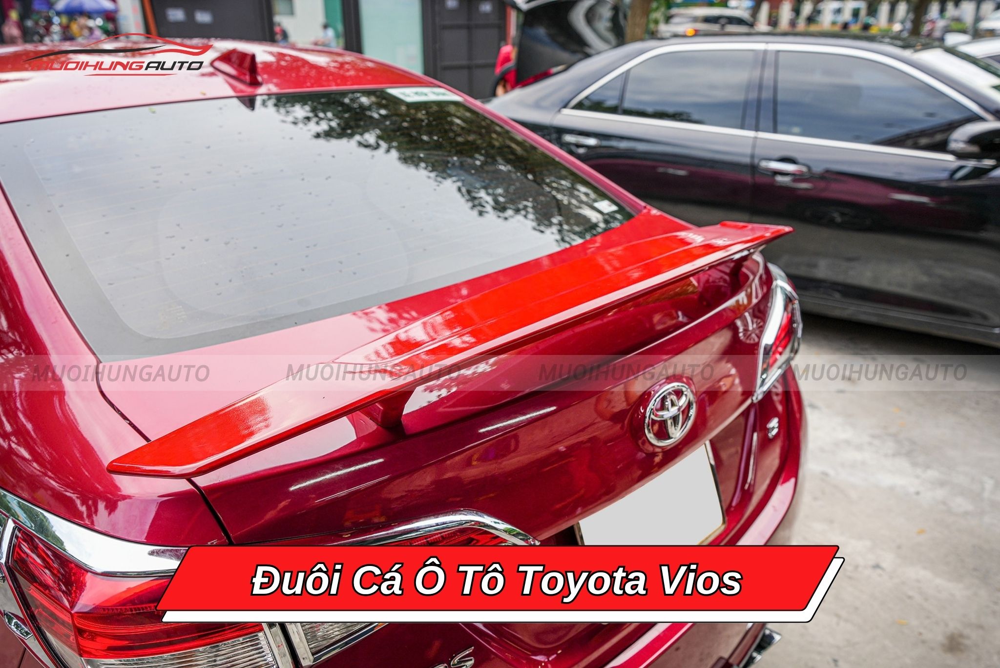 Đuôi cá Toyota Vios