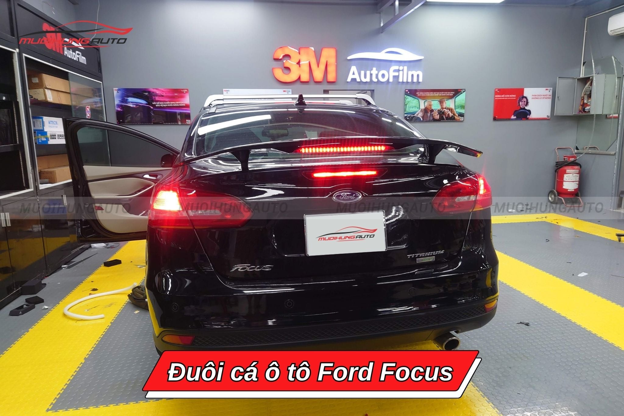 Đuôi cá xe Ford Focus