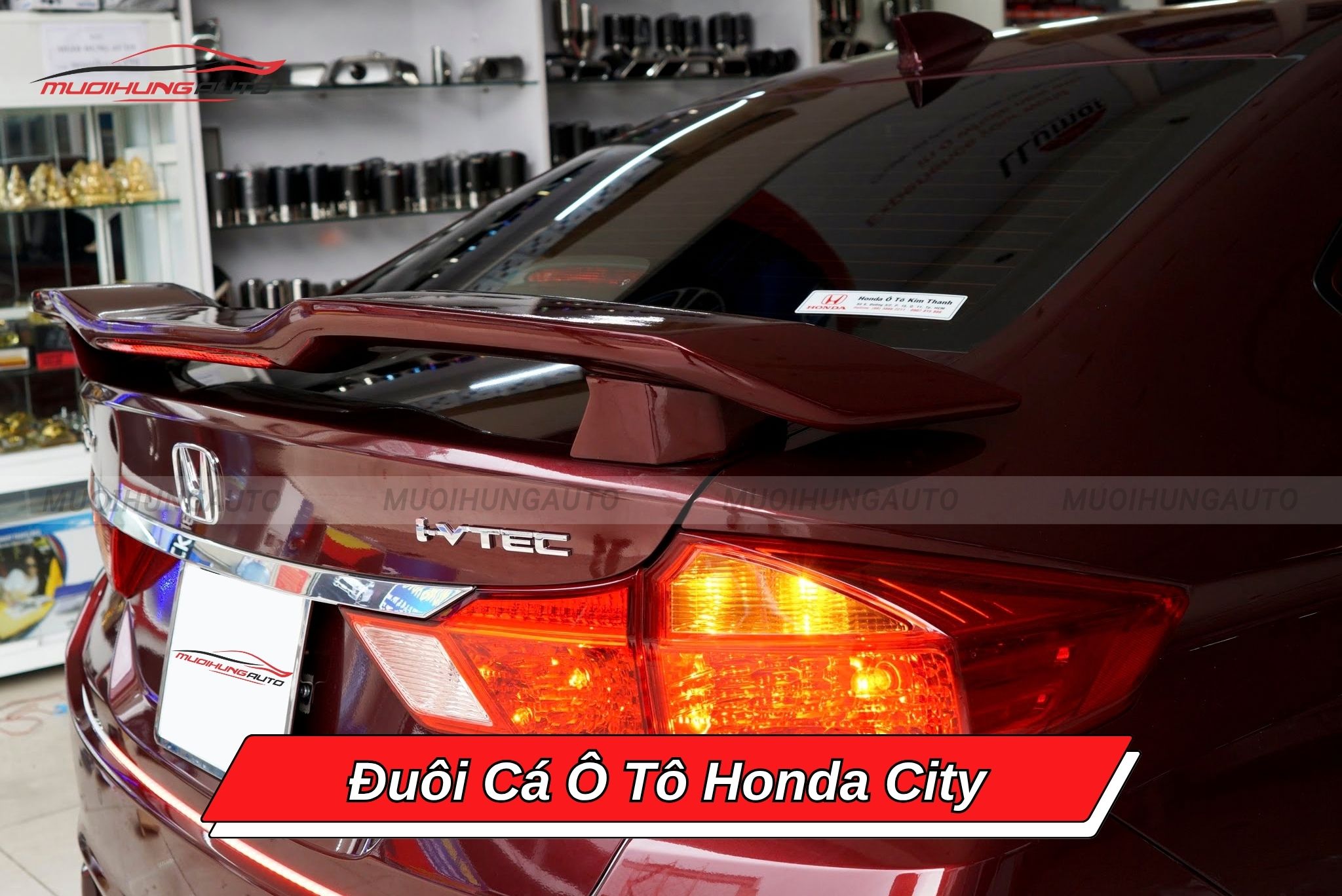 Đuôi cá xe hơi Honda City