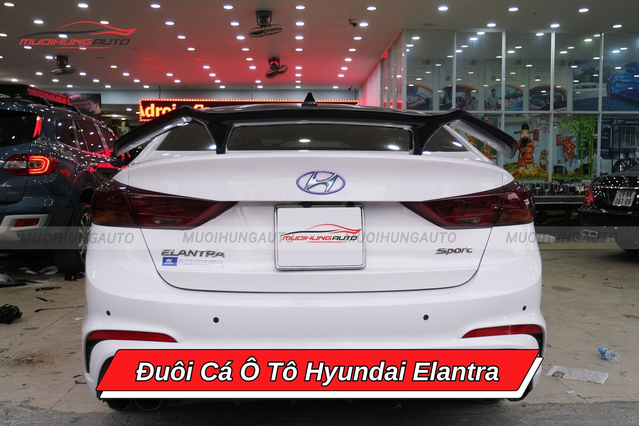 Đuôi cá xe hơi Hyundai Elantra