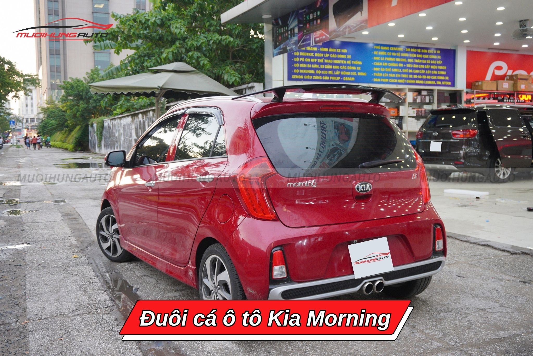 Đuôi cá xe hơi Kia Morning