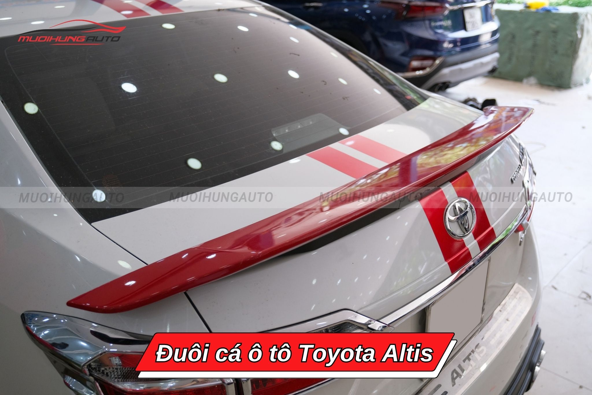 Đuôi cá xe hơi Toyota Altis
