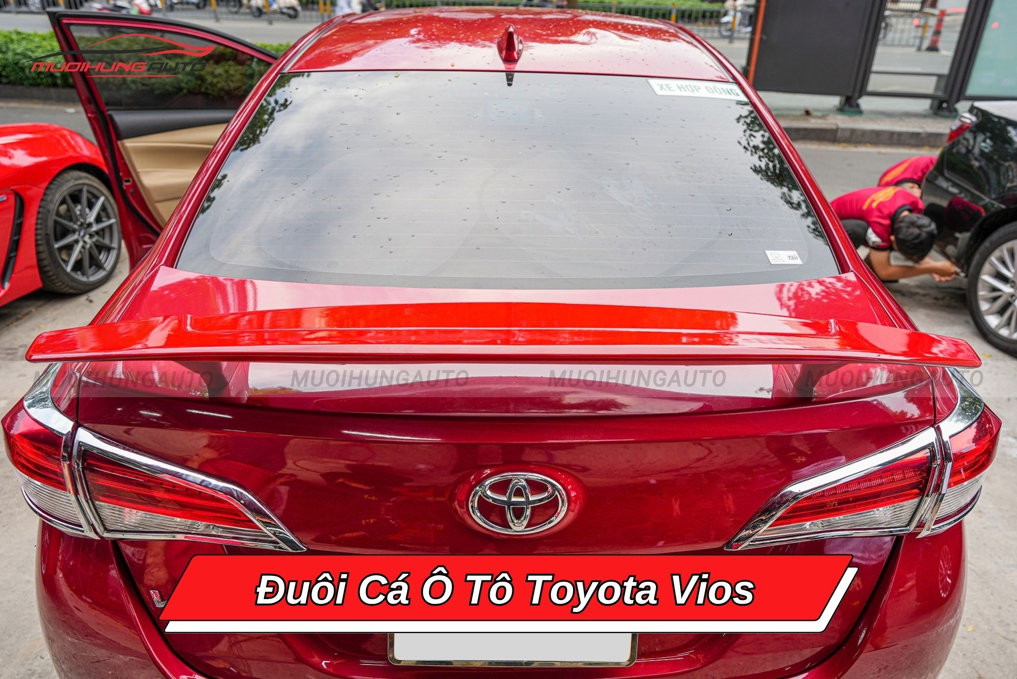 Đuôi cá xe hơi Toyota Vios