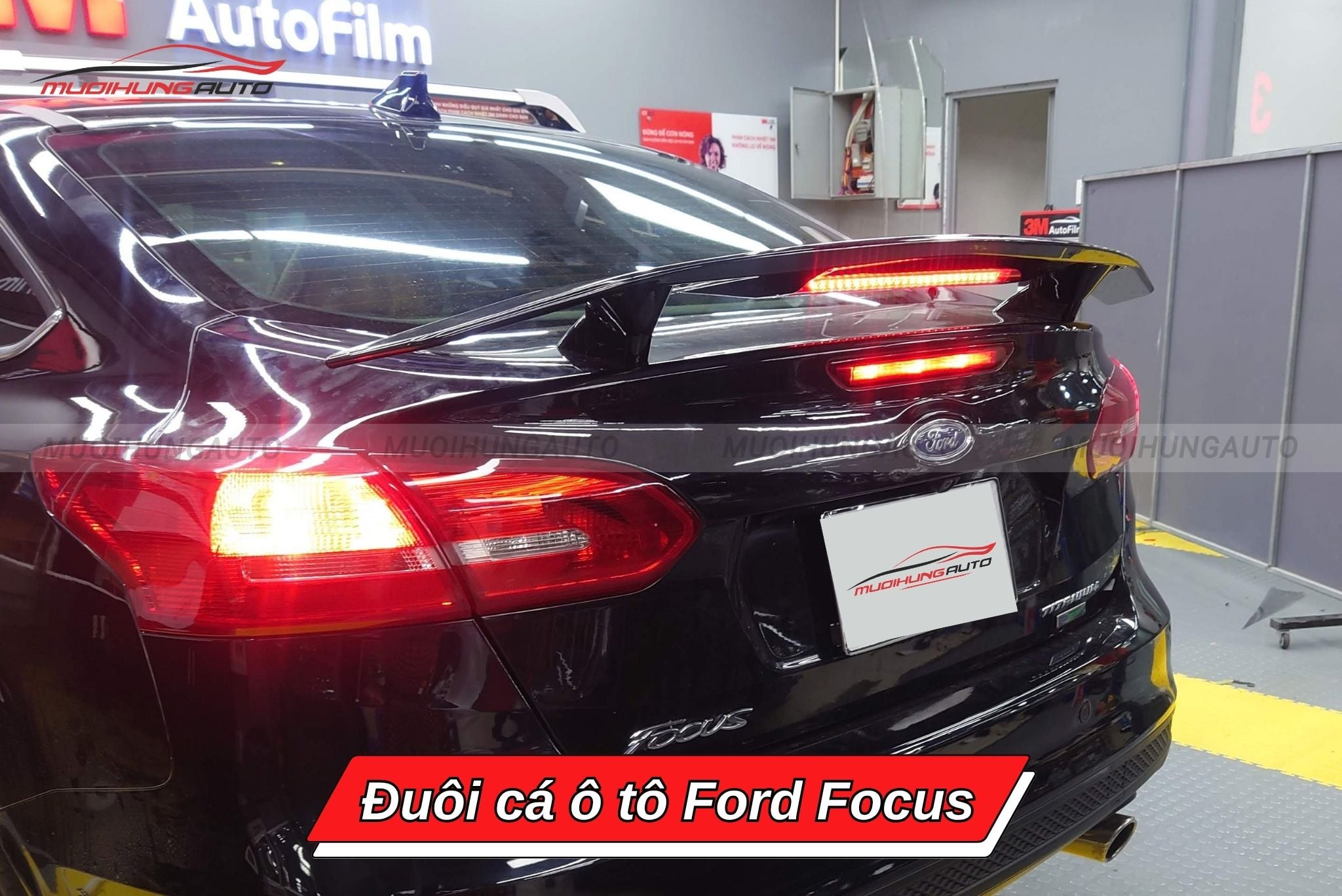Đuôi cá xe ô tô Ford Focus