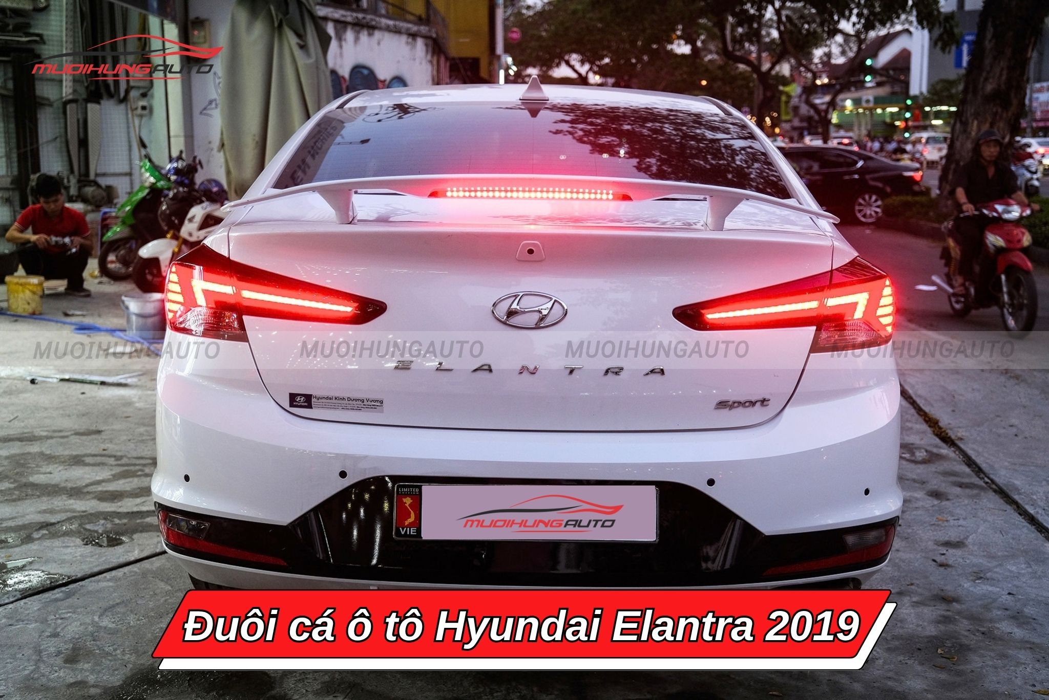 Đuôi cá xe ô tô Hyundai Elantra 2019